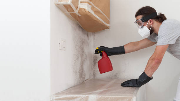 Professional Hvac And Air Duct Mold Remediation technician working in Hasbrouck Heights, NJ